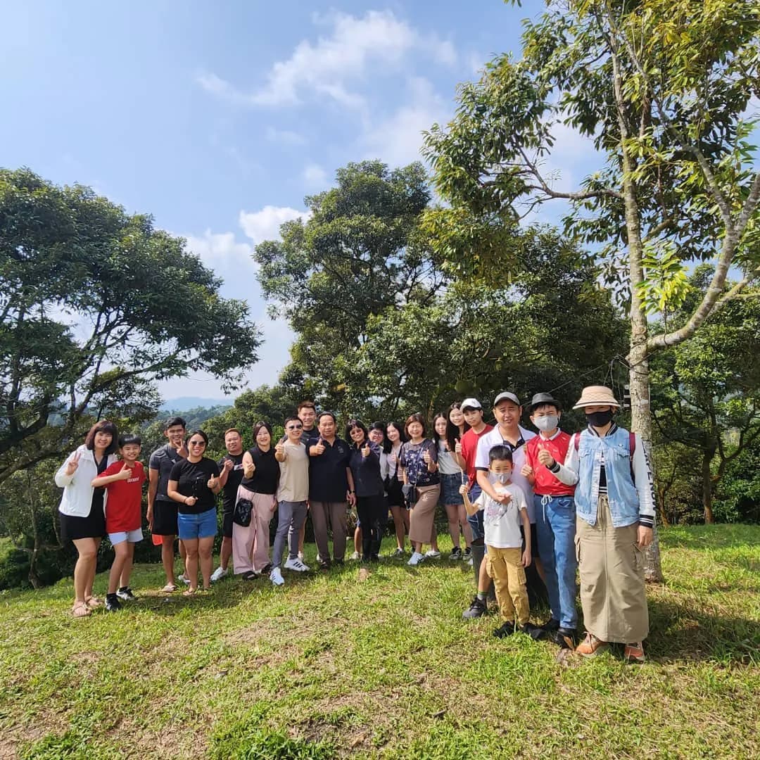 Visitors standing among the fruit trees on a sunny day.